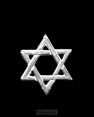 Reverpin zilver davidster groot