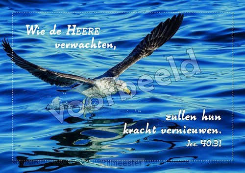 20-15 mix 10 hoogglans zonder envelop