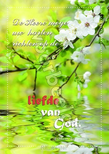 20-20 mix 10 hoogglans zonder envelop