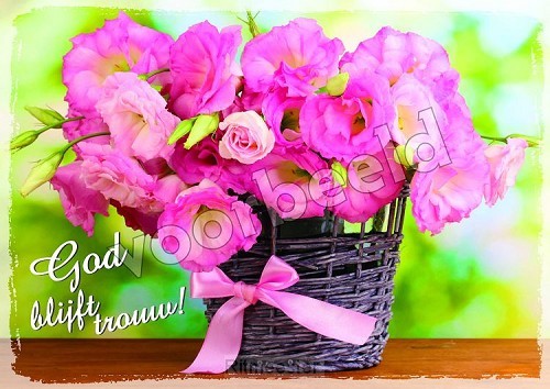 20-24 mix 10 hoogglans zonder envelop