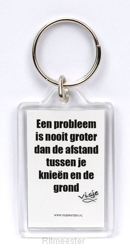 Sleutelhanger visje een probleem is nooi