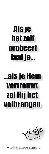 Boekenlegger visje als je het zelf probe