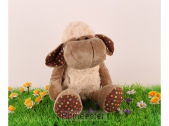 Kaart bijbeltje God geeft je kracht