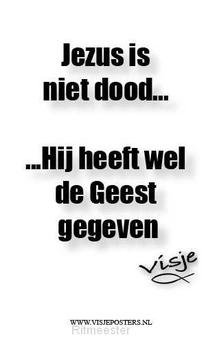 Minikaart visje Jezus is niet dood Hij h