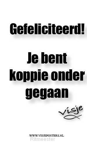 Minikaart visje gefeliciteerd je bent k