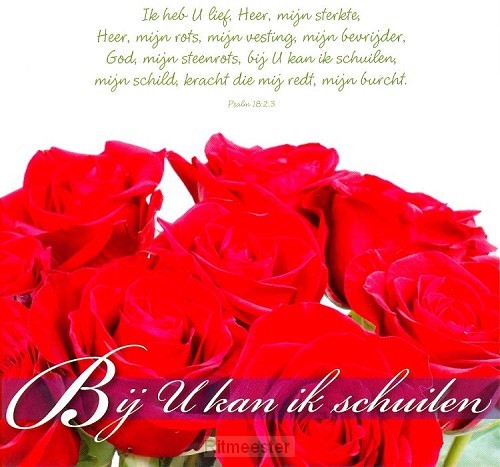 Prentbriefkaart bij U kan ik schuilen