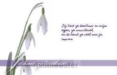 Minikaart je bent zo kostbaar