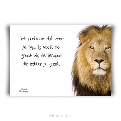 Minikaart het probleem dat voor je ligt