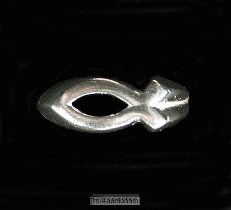 Ring zilver vis open m 20