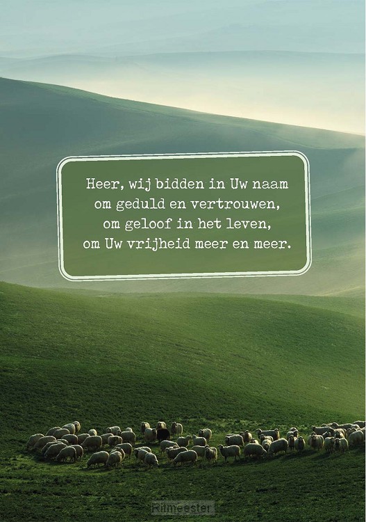 Wenskaart Heer wij bidden in Uw naam