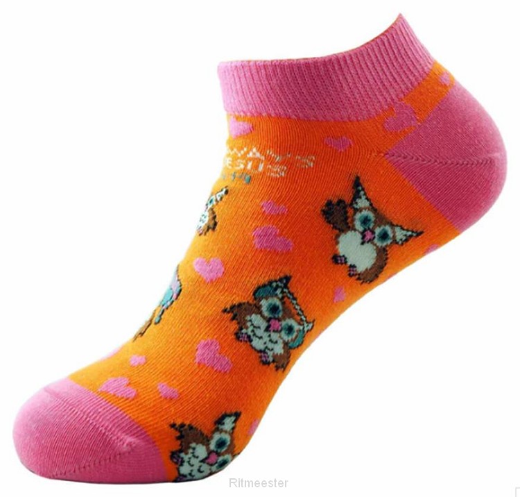 Ankle Sokcks Owl 1 Joh 4:19