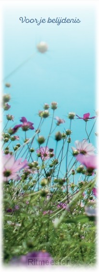 Boekenlegger Voor je Belijdenis