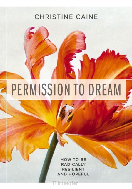 Permission to dream