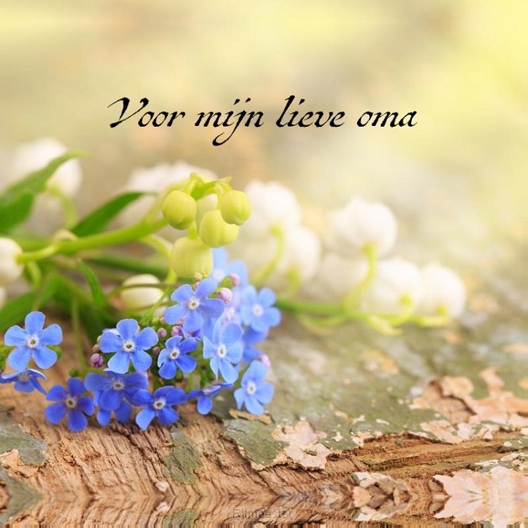 Voor mijn allerliefste oma + pen sijgje