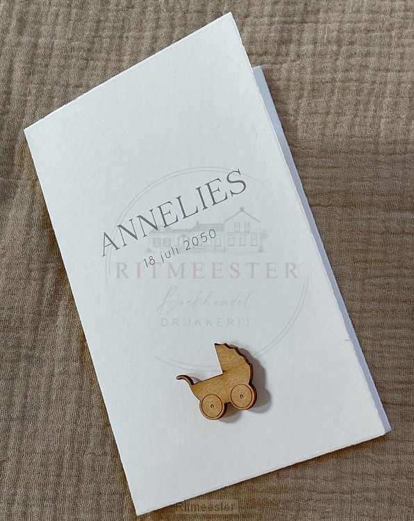 Geboortekaartje Annelies