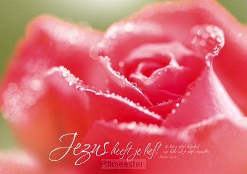 Poster A3 Jezus heeft je lief