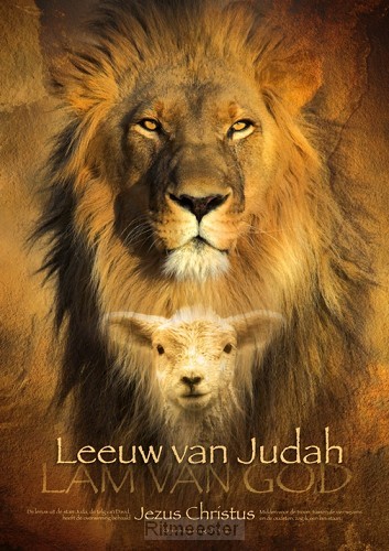 Poster A3 leeuw van judah