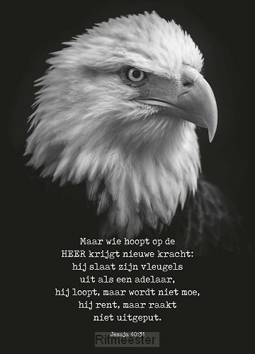 Metal deco wie hoopt op de Heer