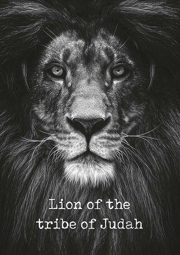 Metal deco Lion of the tribe of judah