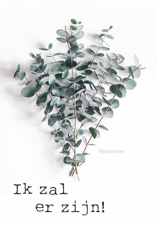 Poster a3 ik zal er zijn