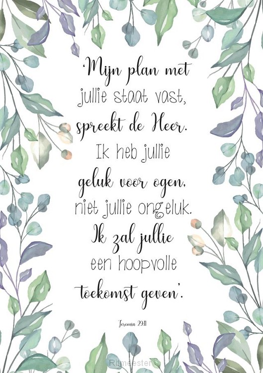Poster 50x70 mijn plan staat vast