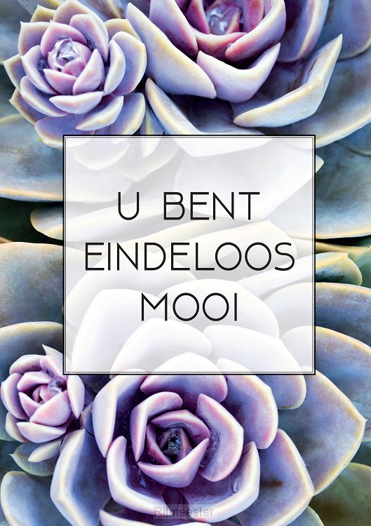 Poster a4 U bent eindeloos mooi