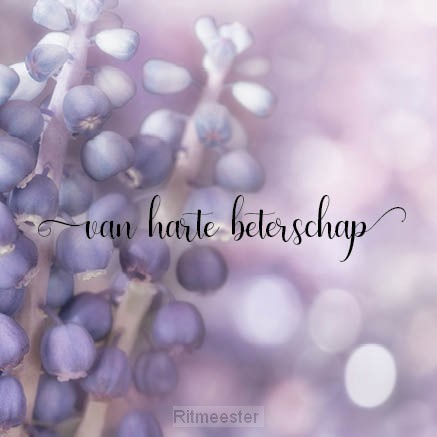 Kaart van harte beterschap SV