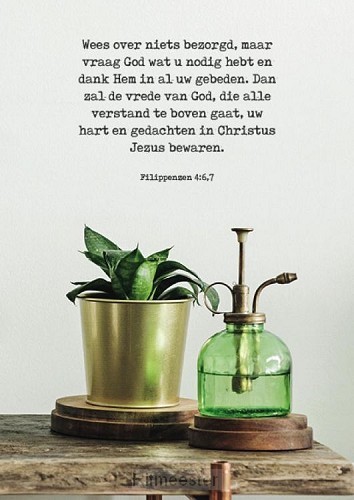 Poster wees over niets bezorgd