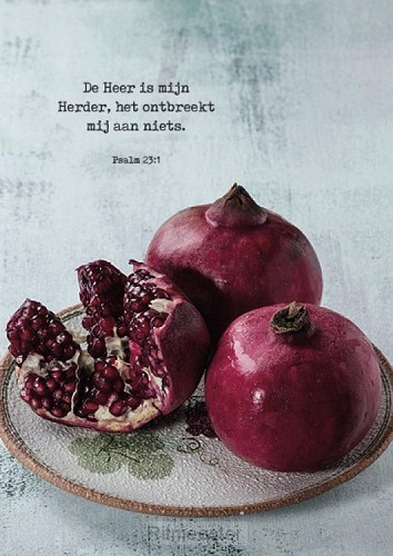 Poster de Heer is mijn Herder