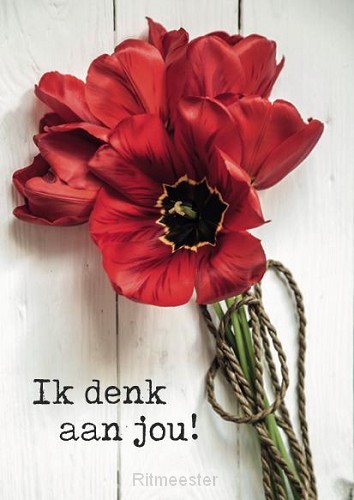 Kaart ik denk aan jou