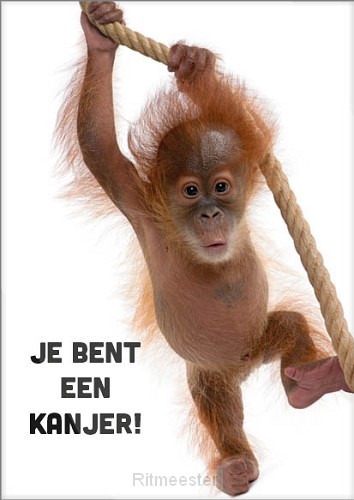 Kaart je bent een kanjer - aapje