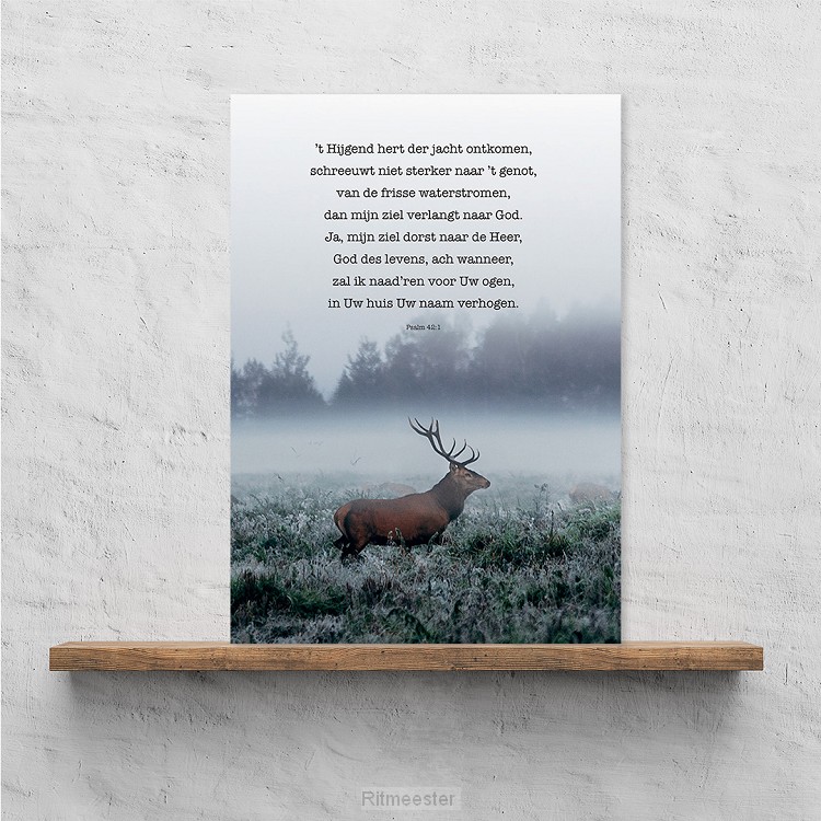 Plexiglas 't hijgend hert psalm 42