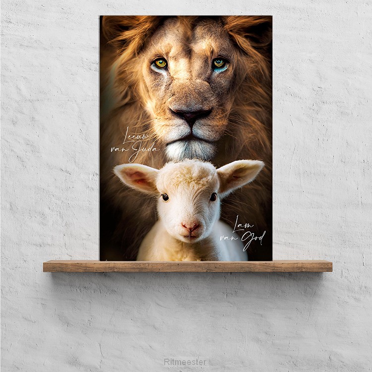 Plexiglas leeuw & lam