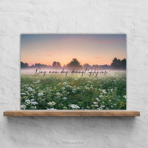 Plexiglas dag aan dag