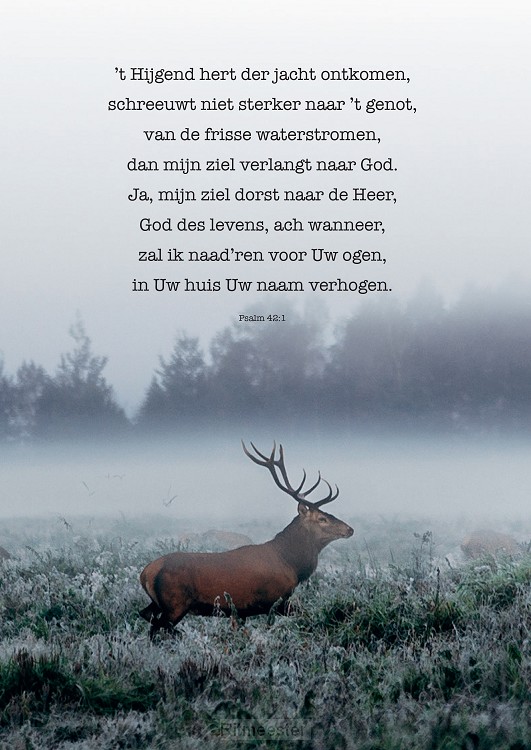 Plexiglas hijgend hert psalm 42