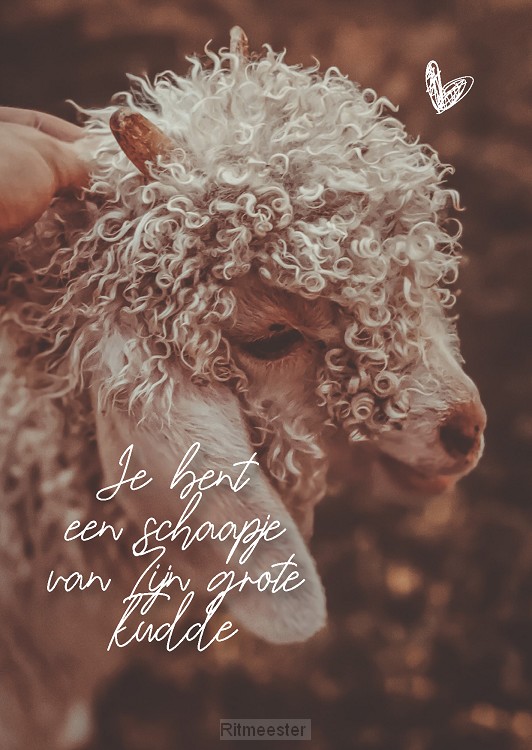 Interieurbord A4 je bent een schaapje