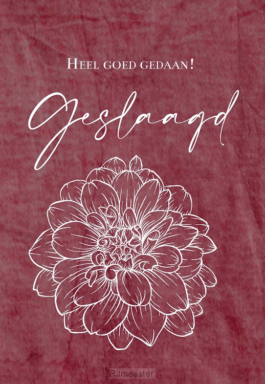 Wenskaart geslaagd