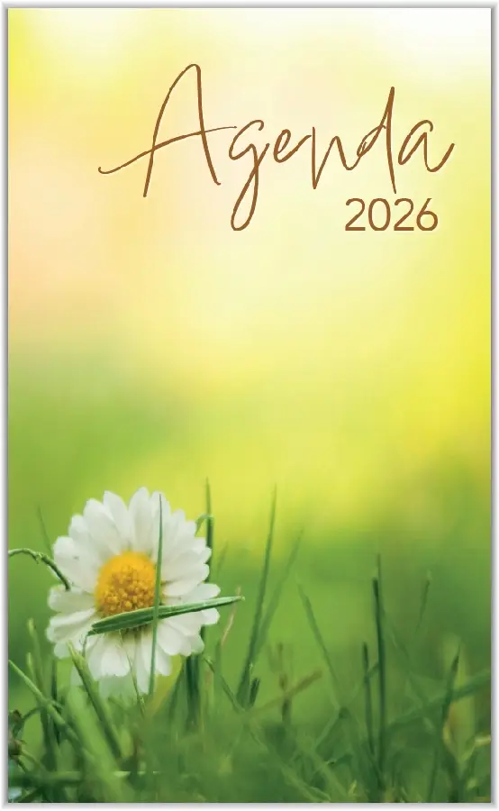 Zak-agenda Landschap