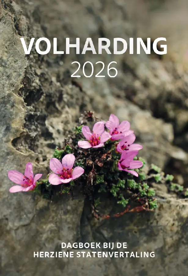 Volharding | 2026