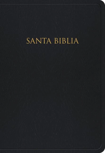 RVR gift & award bible black imitation l