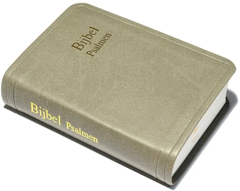 Zakbijbel D31RTP kunstl kleursn tau