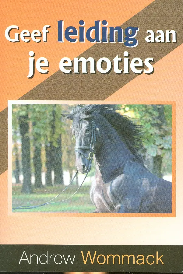 Leiding geven aan je emoties