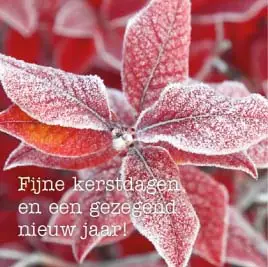 Kerstkaart winterblad fijne kerstdagen