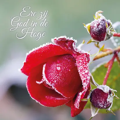 Kerstkaart ere zij God in de hoge