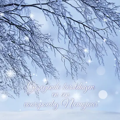 Kerstkaart fijne kerstdagen tak met lich