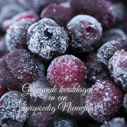 Kerstkaart fijne kerstdagen donkerrode