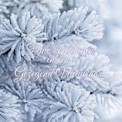 Kerstkaart fijne kerstdagen besneeuwde