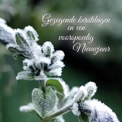 Kerstkaart gezegende kerstdagen besneeuw