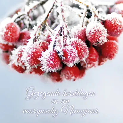 Kerstkaart fijne kerstdagen tros bevrore