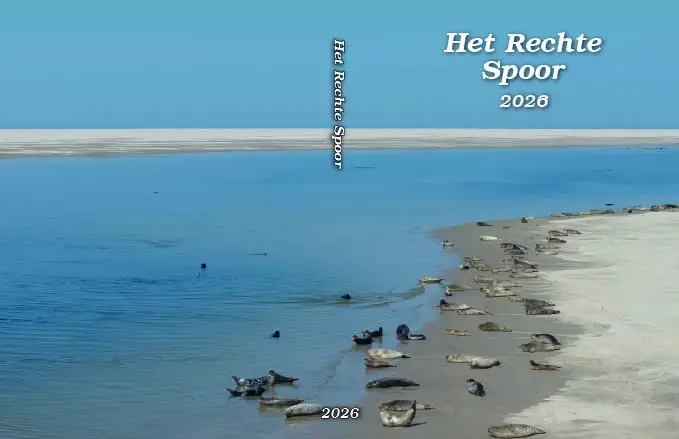 Rechte spoor 2026